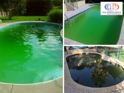Cách Xử Lý Nước Hồ Bơi Bị Rêu Tảo (HIỆU QUẢ – AN TOÀN)  