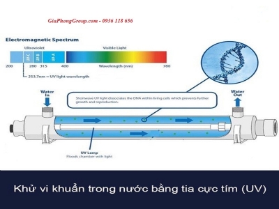 Đèn UV là gì? Nguyên tắc khử vi khuẩn trong nước bằng tia cực tím